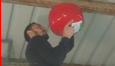 6 kg Tavan Tipi Otomatik Sprinklerli Yang�n S�nd�r�c� | Otomatik M�dahale
